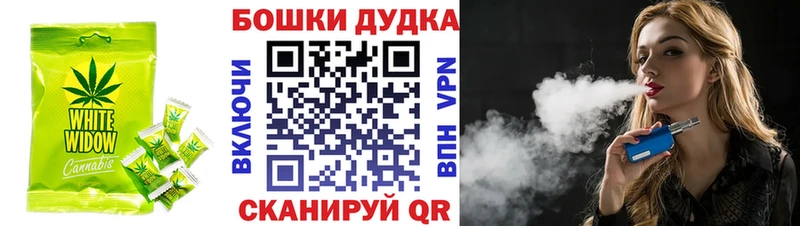 Canna-Cookies марихуана  Купить закладки  Дигора 