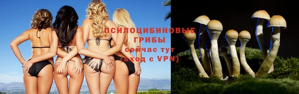 COCAINE Карпинск