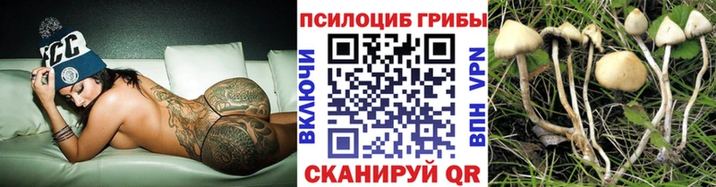 Псилоцибиновые грибы Psilocybine cubensis  Купить закладки  Дигора 